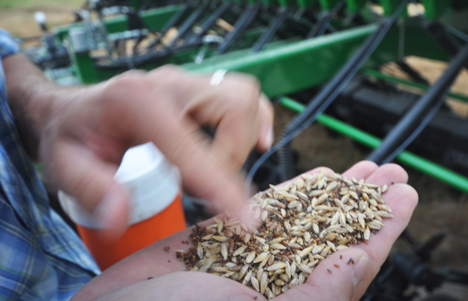 Farmer checking cover crop seed as part of a regenerative agriculture program