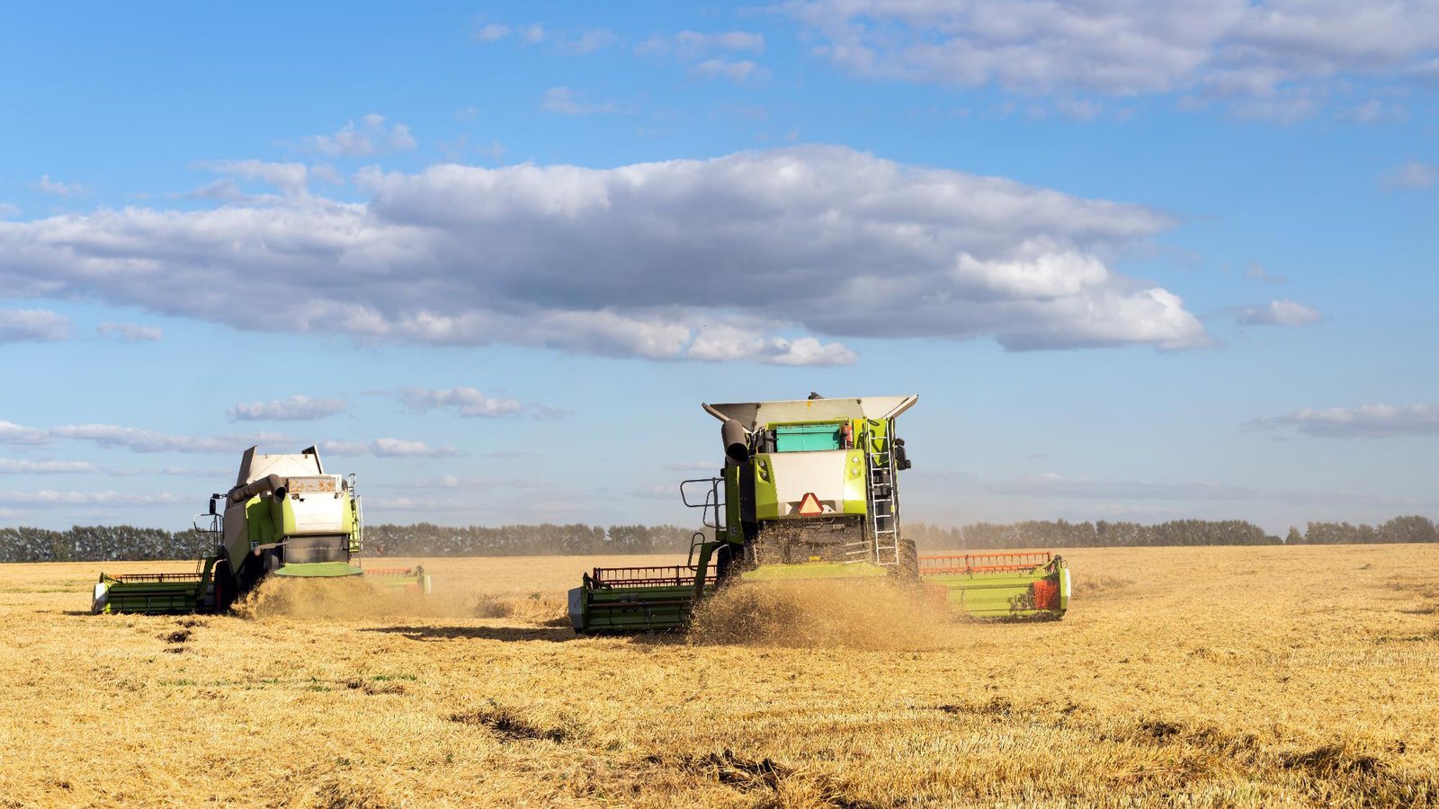 Harvesters working a broadacre grain paddock, Western Australia