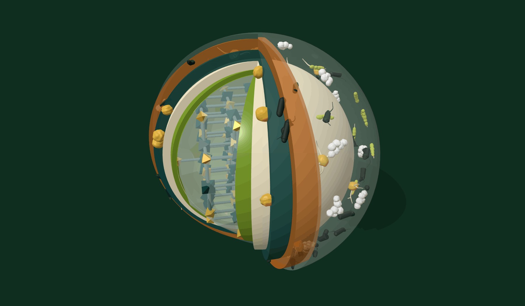 Cutaway render of the DuraTerra BioM granule