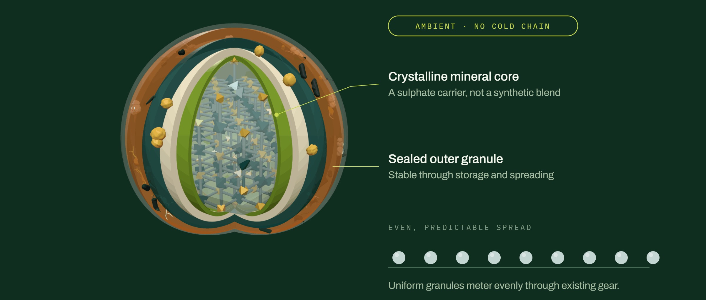 Cutaway render of a DuraTerra granule showing the crystalline mineral core inside its sealed outer coating.